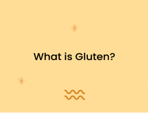 What is Gluten?